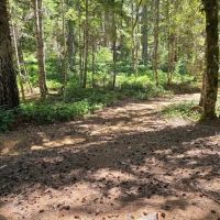 Elko Dispersed Camping ico