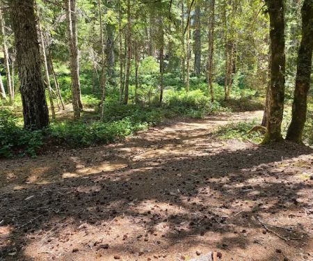 Elko Dispersed Camping