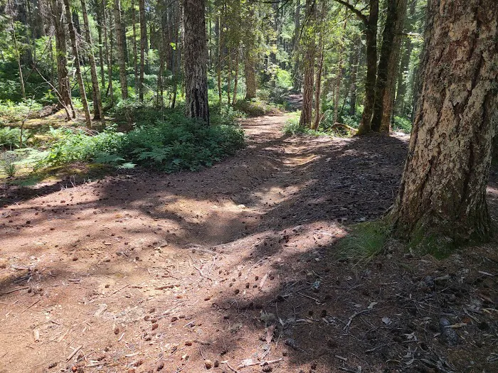 Elko Dispersed Camping Picture 2