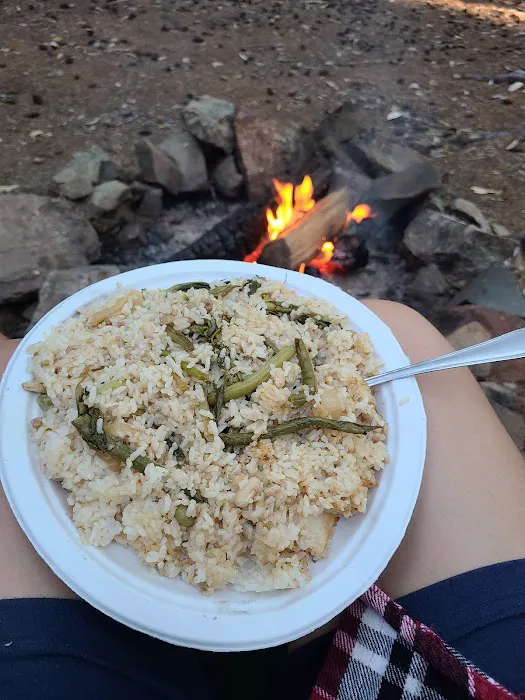 Elko Dispersed Camping Picture 6