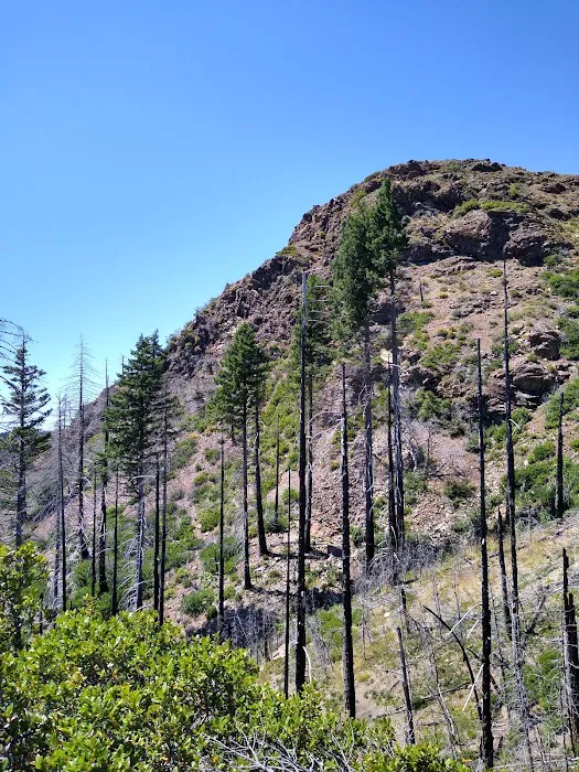 Snow Camp Lookout Picture 7