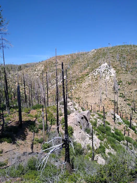 Snow Camp Lookout Picture 2