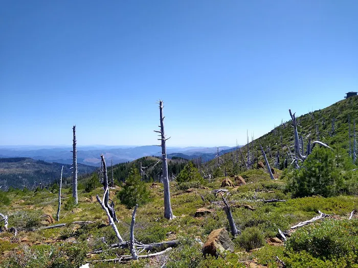 Snow Camp Lookout Picture 5