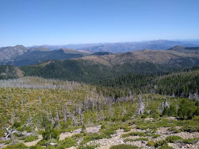 Snow Camp Lookout Picture 6