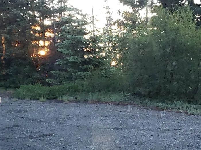 Bear Camp Viewpoint Picture 4