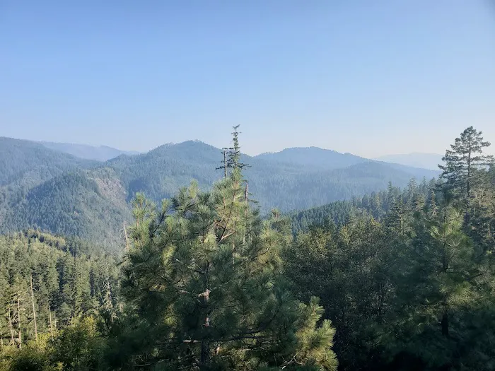 Bear Camp Viewpoint Picture 3