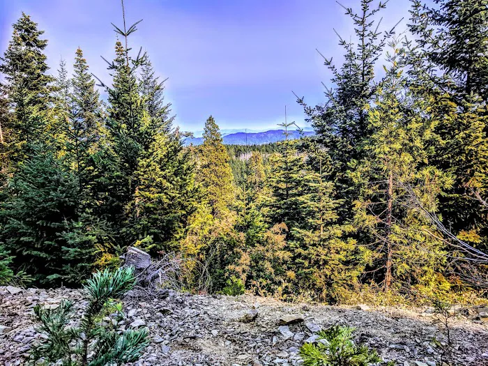 Bear Camp Viewpoint Picture 10