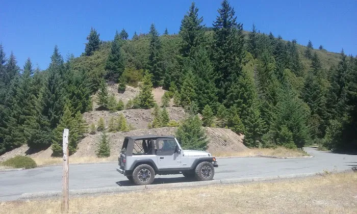 Bear Camp Viewpoint Picture 6