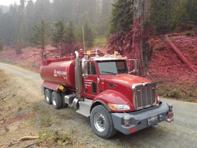 Bear Camp Viewpoint Picture 7