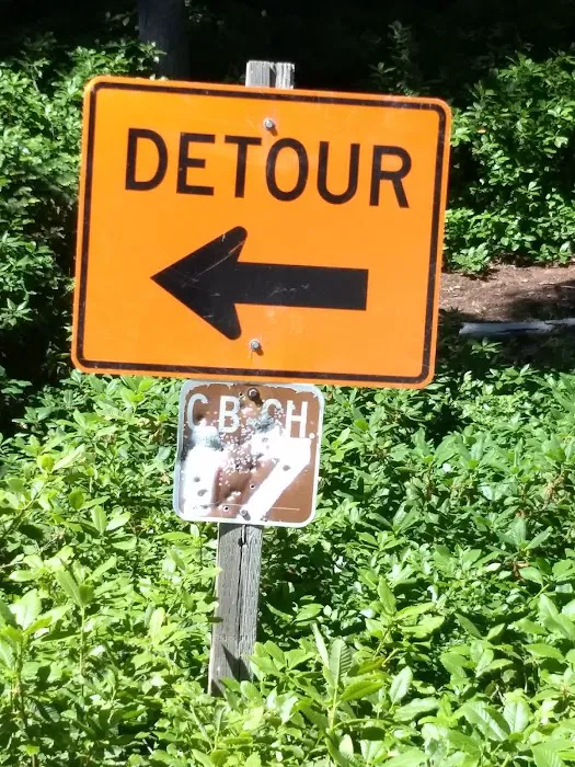 Bear Camp Viewpoint Picture 1