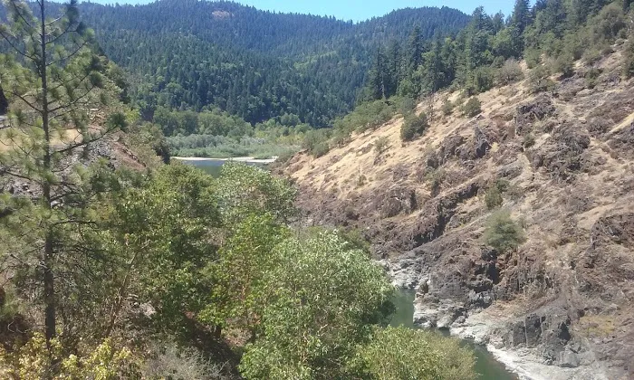 Bear Camp Viewpoint Picture 8