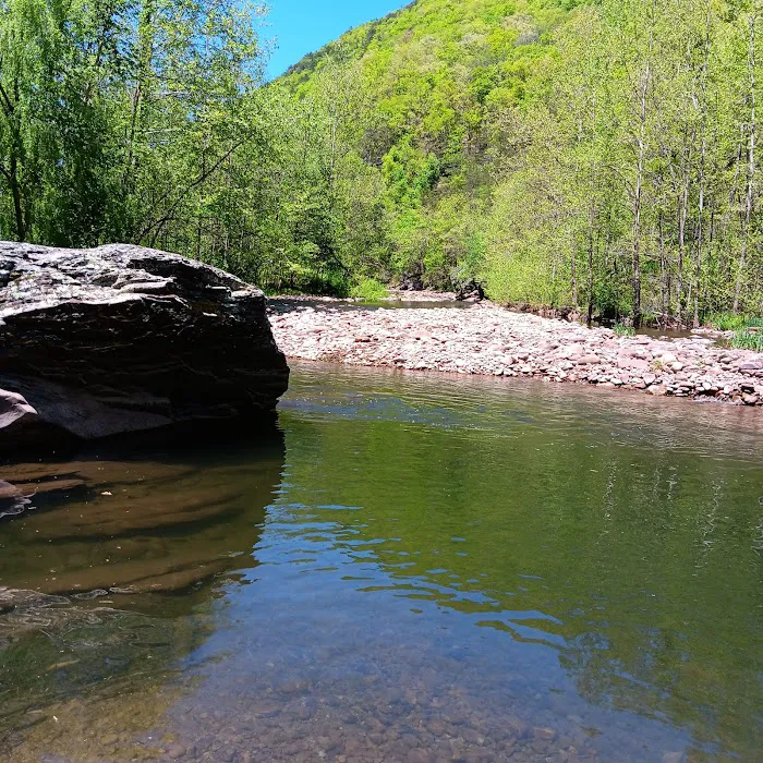 Seneca Rocks RV Resort Picture 5