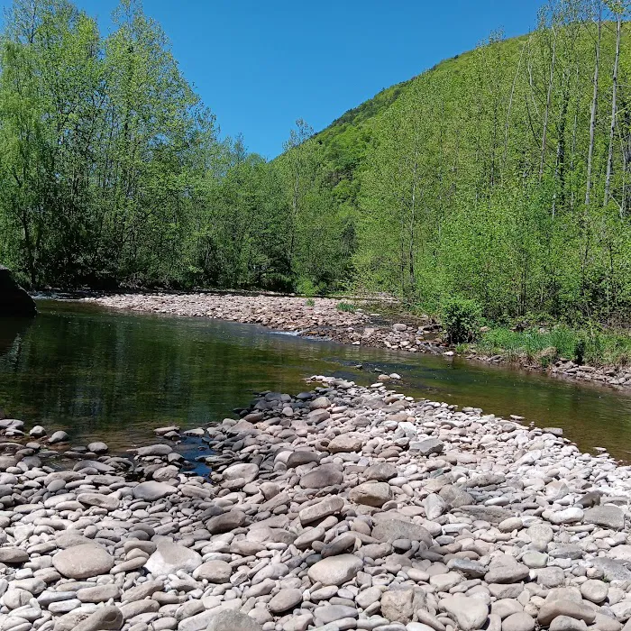 Seneca Rocks RV Resort Picture 6