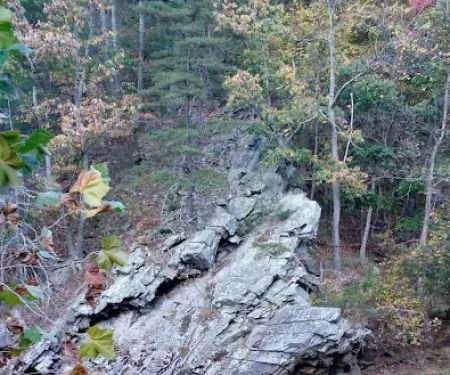 Seneca Rocks RV Resort