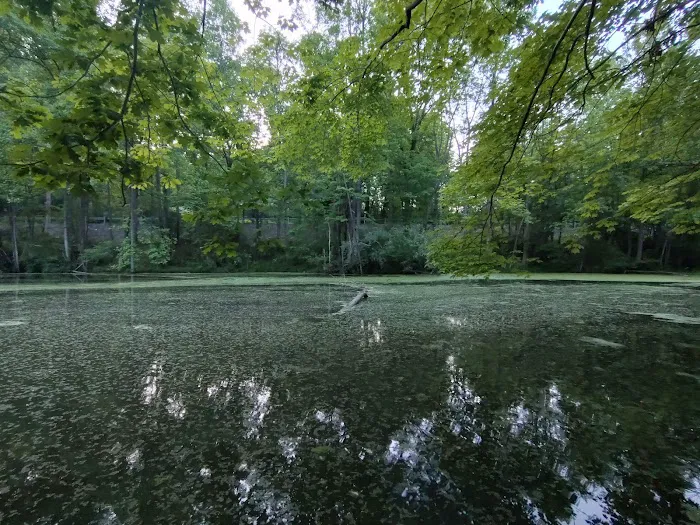 Shuman’s Mobile Home Park Picture 1