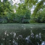 Shuman’s Mobile Home Park