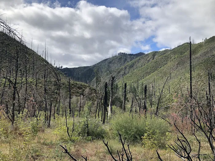 Briggs Creek Campground Picture 2