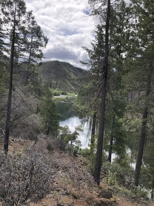 Briggs Creek Campground Picture 1