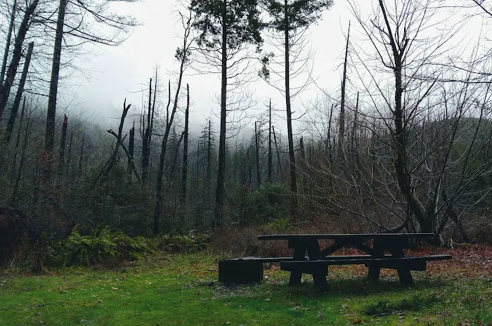 Briggs Creek Campground Picture 5