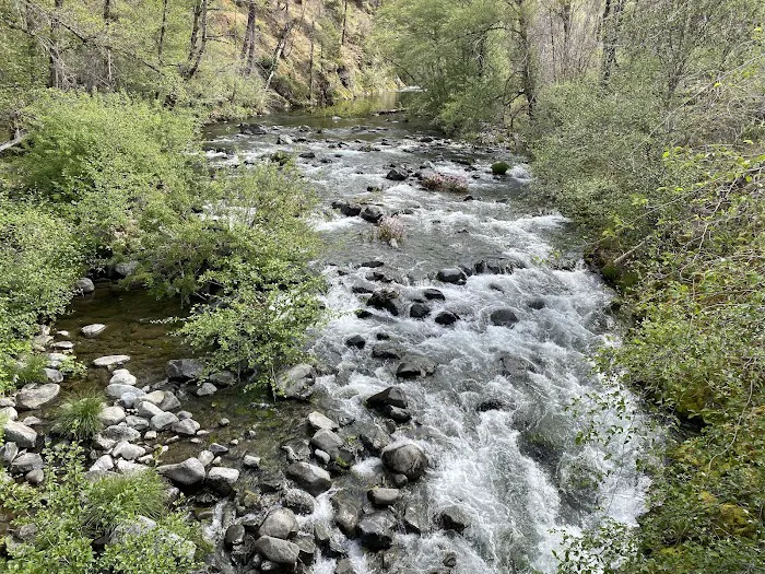 Briggs Creek Campground Picture 6