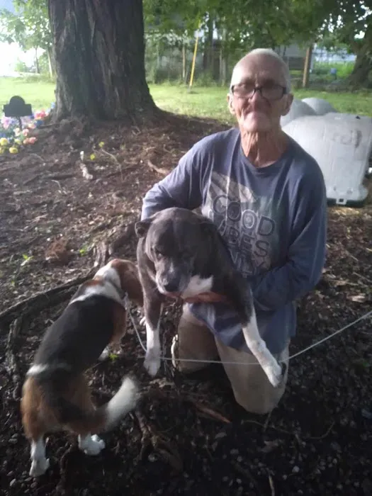 Dawson's Mobile Home Park Picture 2