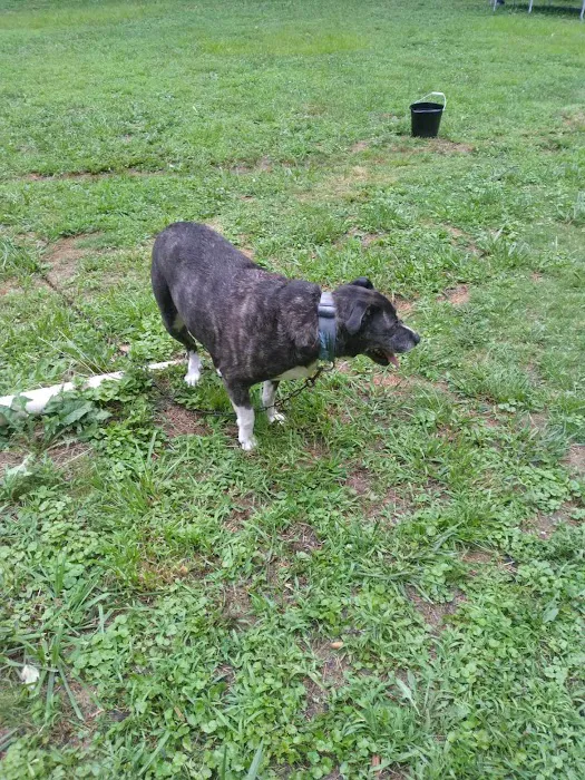 Dawson's Mobile Home Park Picture 1