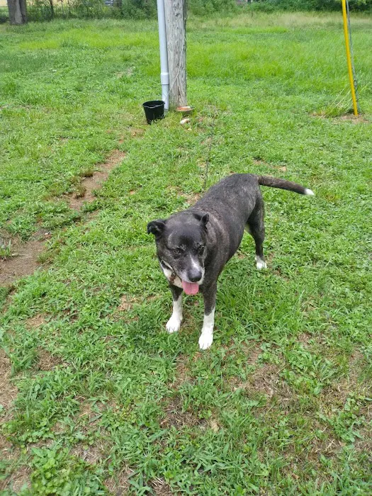 Dawson's Mobile Home Park Picture 3