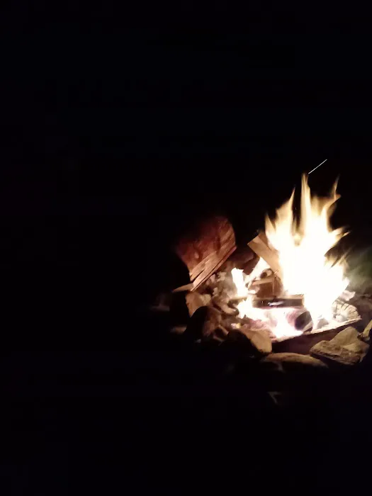 South Fork Camps Campground Picture 7