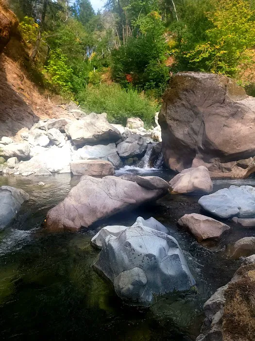 South Fork Camps Campground Picture 5