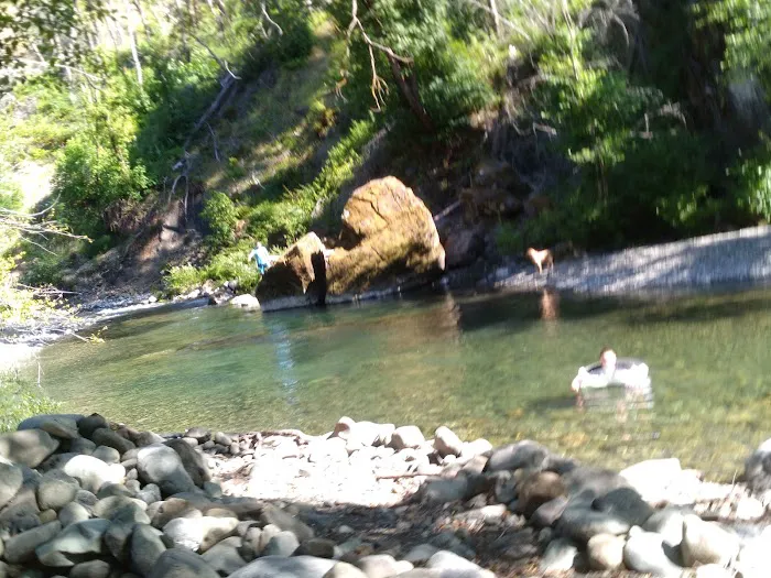 South Fork Camps Campground Picture 8