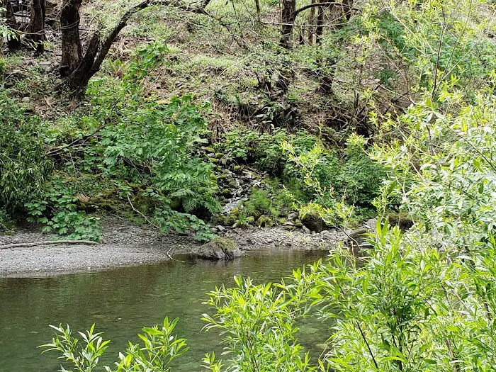 South Fork Camps Campground Picture 2