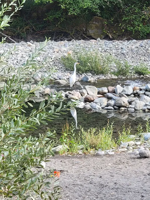 South Fork Camps Campground Picture 4