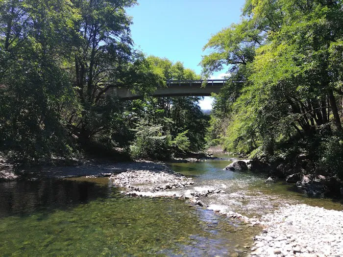 South Fork Camps Campground Picture 10