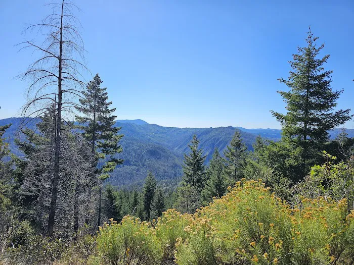 Zred Mountain Prairie Dispersed Camp-Not Enabled Picture 1