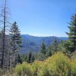 Zred Mountain Prairie Dispersed Camp-Not Enabled