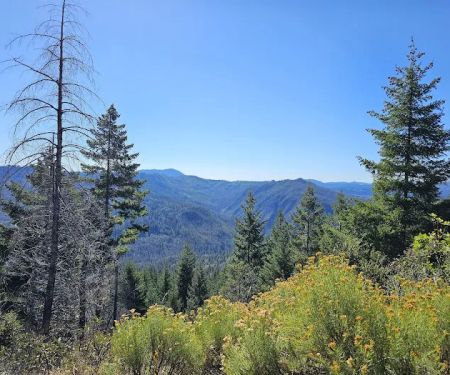 Zred Mountain Prairie Dispersed Camp-Not Enabled