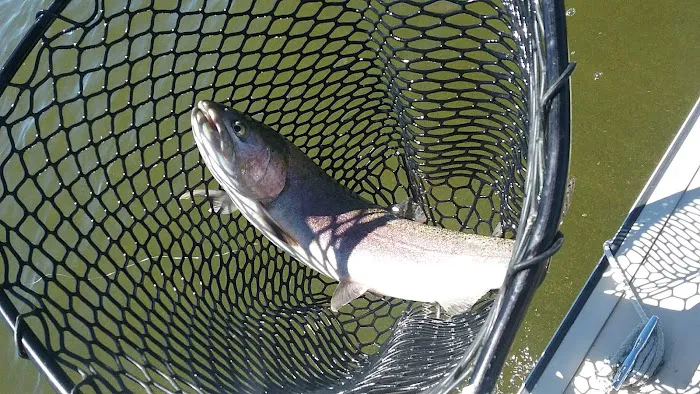 Agency Lake Resort Picture 9