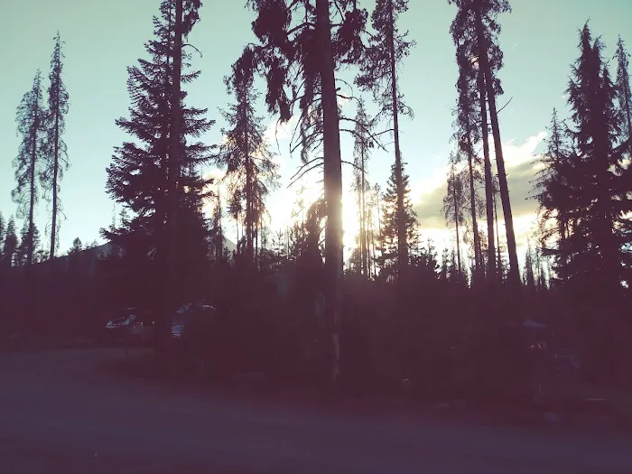 Fourmile Lake Campground Picture 8