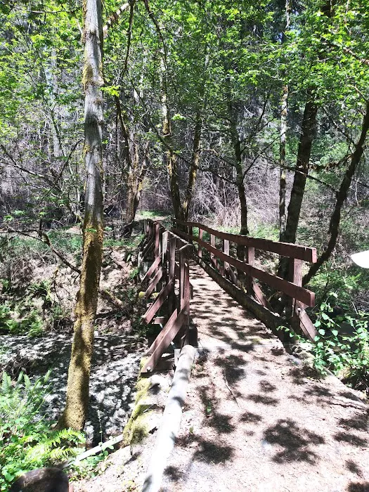 Big Pine Campground Picture 8