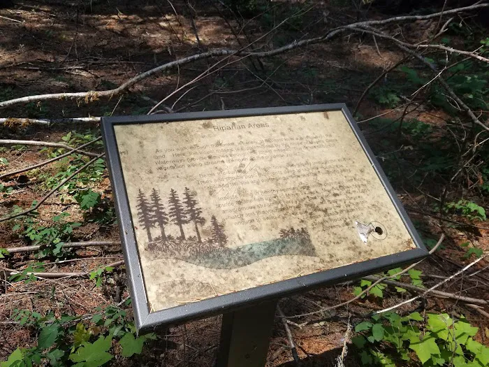 Big Pine Campground Picture 4