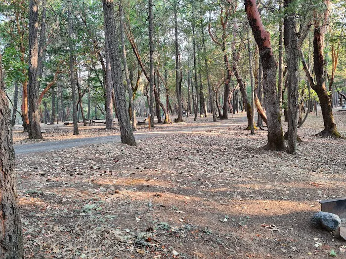 Cantrall Buckley Campground Picture 3