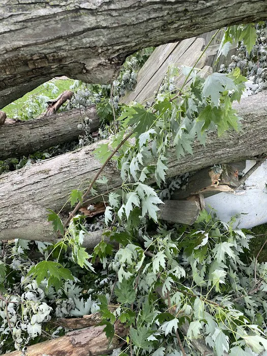 Gem City MHP LLC Picture 6