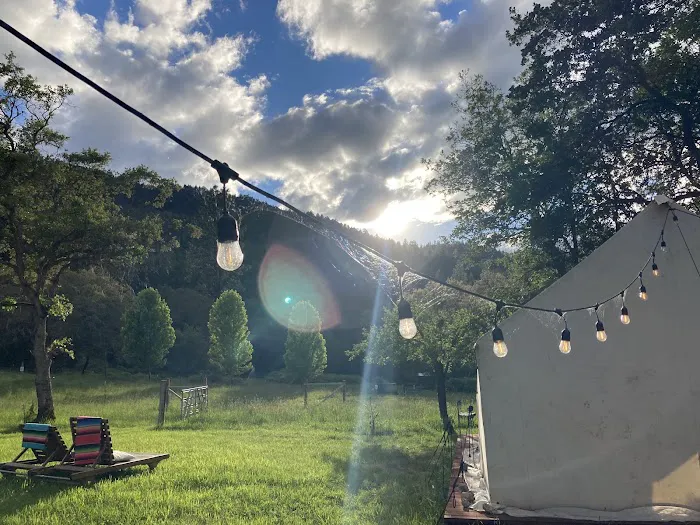 CAMP COWGIRL Picture 8