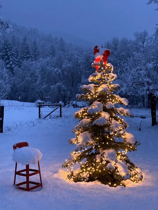 CAMP COWGIRL Picture 5