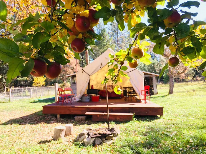 CAMP COWGIRL Picture 6