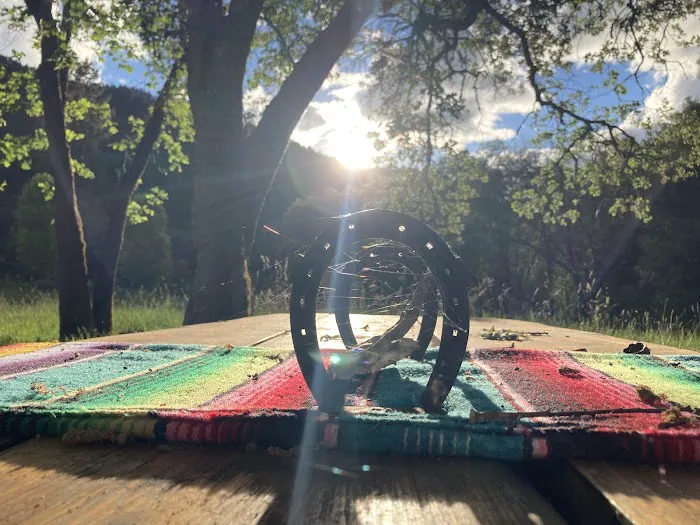 CAMP COWGIRL Picture 4