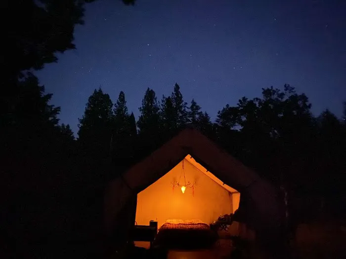 CAMP COWGIRL Picture 1