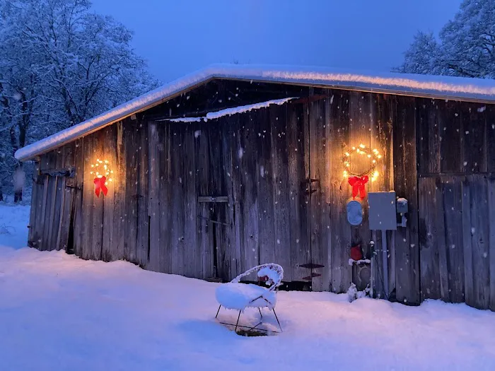 CAMP COWGIRL Picture 7