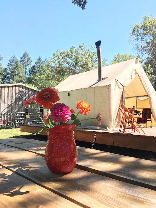 CAMP COWGIRL Picture 3