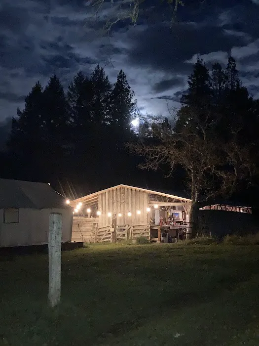 CAMP COWGIRL Picture 2